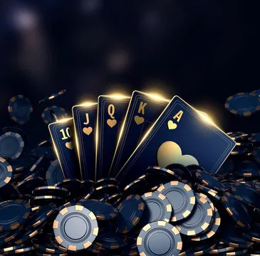 新手学习路径图